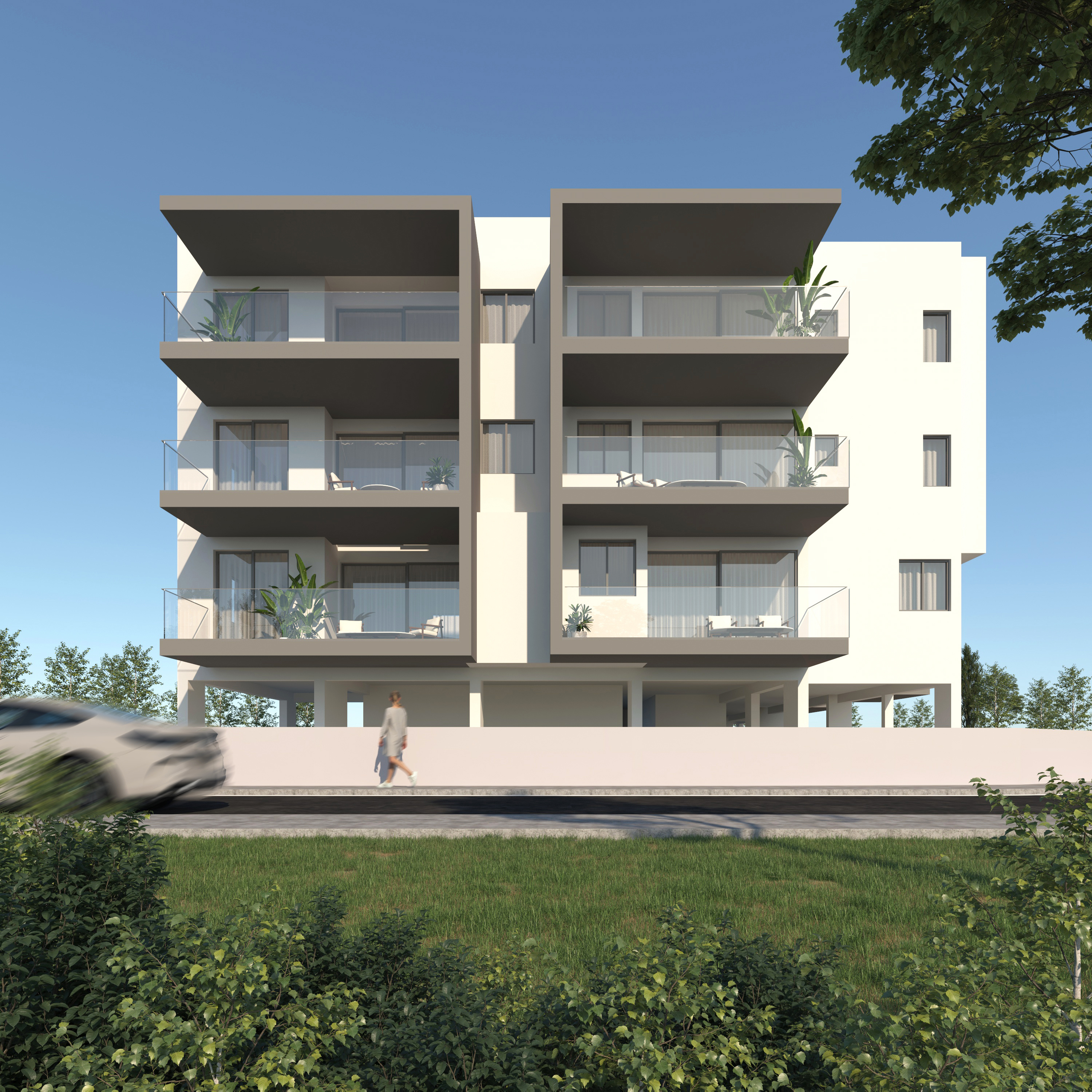 Cott 54